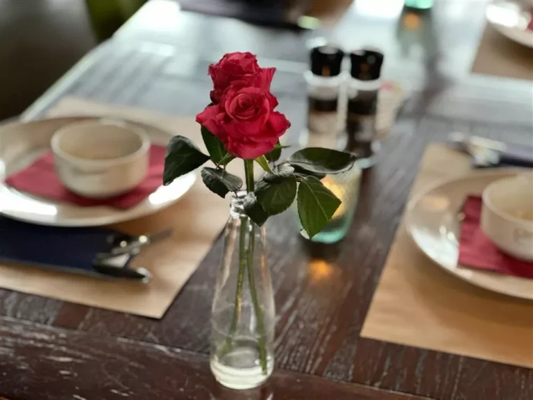 Daghap Café de Klimop in Sint Maarten Schagen